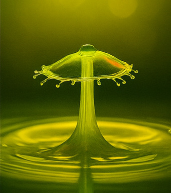 몰입형 모험의 시작